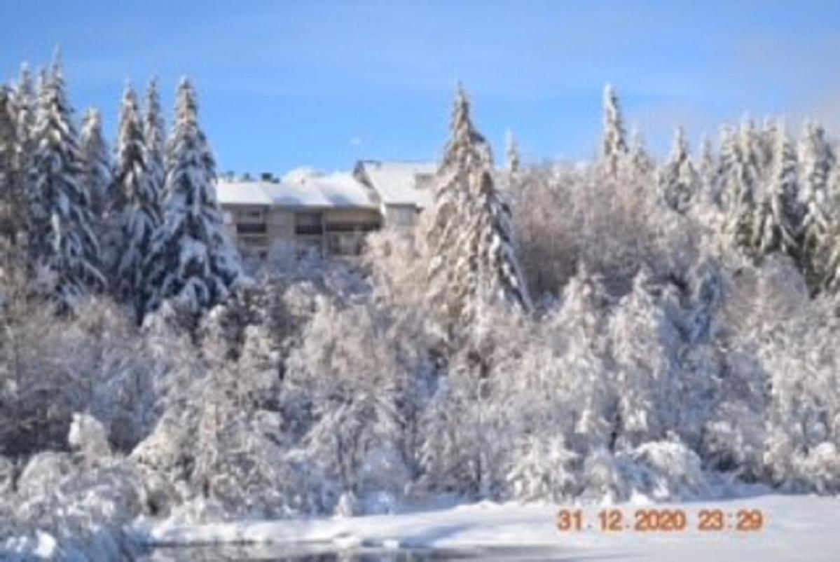 Lo Vedelier D'Aubrac Apartment Laguiole Exterior foto