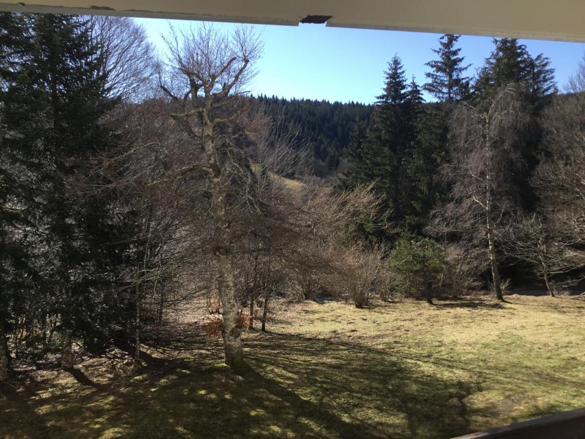 Lo Vedelier D'Aubrac Apartment Laguiole Exterior foto